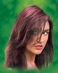 Naturtint Permanent Light Mahogany 2 Ounces