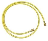 Yellow Charging Hose - 72In