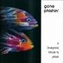 Gone Phishin'-Bluegrass Tribute to Phish