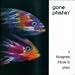 Gone Phishin'-Bluegrass Tribute to Phish