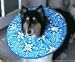 Soft-E-Collar XS Blue Bandana
