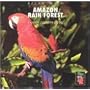 Amazon Rain Forest