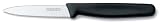Victorinox 3-1/4-Inch Serrated Paring Knife