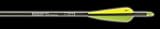 6 - Pk. Carbon Express  45 / 60 Rebel Arrows with Vane