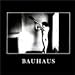 Dark Entries - Best of Bauhaus and Beyond