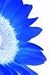 Endless Possibilities Yoga with Marsha T. Metzger, RYT, M.ed