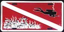 Divers Flag #2