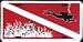 Scuba Divers Flag License Plate