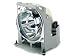 Electronics : Replacement Lamp for Pj750 Projector