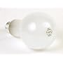 Interfit INT032 Replacement 5002 Tungsten Photo Flood Lamp for INT100 & INT105 (Clear)