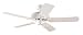 Hunter 23566 Sea Air 52-Inch Outdoor White Ceiling Fan with 5 White Plastic Blades