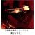 CALLE54 [DVD]