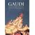 Gaudi