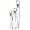 Flower by Kenzo Eau de Parfum Spray 1 fl oz (30 ml)