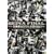 SEPIA FINAL [DVD]