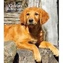 Golden Retrievers 2009 Hardcover Weekly Engagement Calendar
