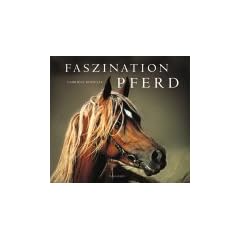 Faszination Pferd