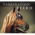 Faszination Pferd