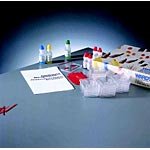 Immune Response