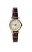 Timex Women's Classic Brown Leather Strap Watch #T26701