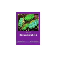 Riesenmuscheln