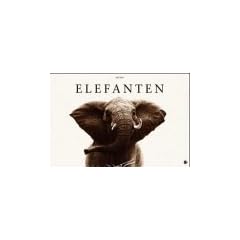 Elefanten 2005. Klemm