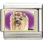 yorkshire terrier charm