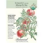 Botanical Interest - Tomato Bush Silvery Fir Tree (Organic)