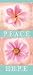 Peace-Hope Bookmark