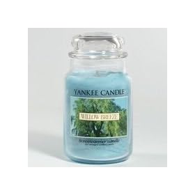 Yankee Candle Housewarmer 22oz Jar - Willow Breeze