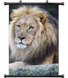 Home Decor Art Poster with Lion Animal Mobile Wallpaper Wall Scroll Poster Fabric Painting 23.6 X 35.4 Inch (60cm X 90 cm)