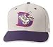 Minor League Baseball Cap - Auburn Doubledays Road Cap by New Era