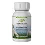 PetAlive GlucoBalance to Control Blood Sugar and Insulin in Diabetic Pets