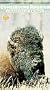 Conserving America: Champions of Wildlife [VHS]