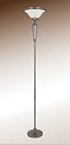 Floor Lamp in Gun Metal