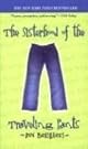 The Sisterhood Of The Traveling Pants