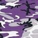 Purple Camouflage BDU Shorts (Small, Purple Camouflage)