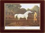 Lady Clare Traditional Continental Placemats Racehorses