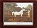 Lady Clare Traditional Coasters Racehorses