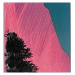 Christo: Surrounded Islands : Biscayne Bay, Greater Miami Florida, 1980-83 book cover