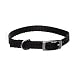 Aspen Pet 3/8 Single Ply Nylon Dog and Cat Collar