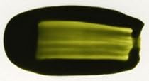 Vitrea 160 Sandalwood Green glossy 45ml bottle