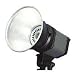 Savage Continuous Light Kit, Head with Reflector, and Tilting Bracket (Bulbs not incl...