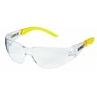 Radians DPG54-2C Protector Safety Glasses