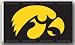 Iowa Gold Hawkeye 3x5 Flag