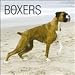 boxer0 - Boxers 2010 Wall Calendar