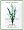 Lily of the Valley by Woods of Windsor Perfumed Drawer Sachet
