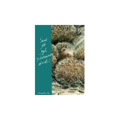 Und der Igel schwimmt doch