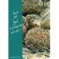 Und der Igel schwimmt doch