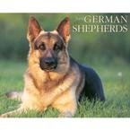 Just German Shepherds 2009 Wall Calendar